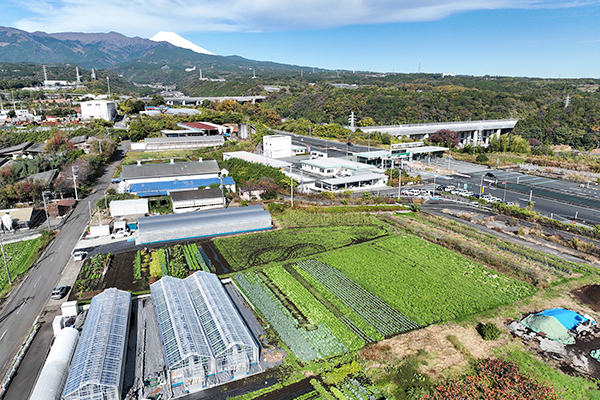 大静ファーム株式会社