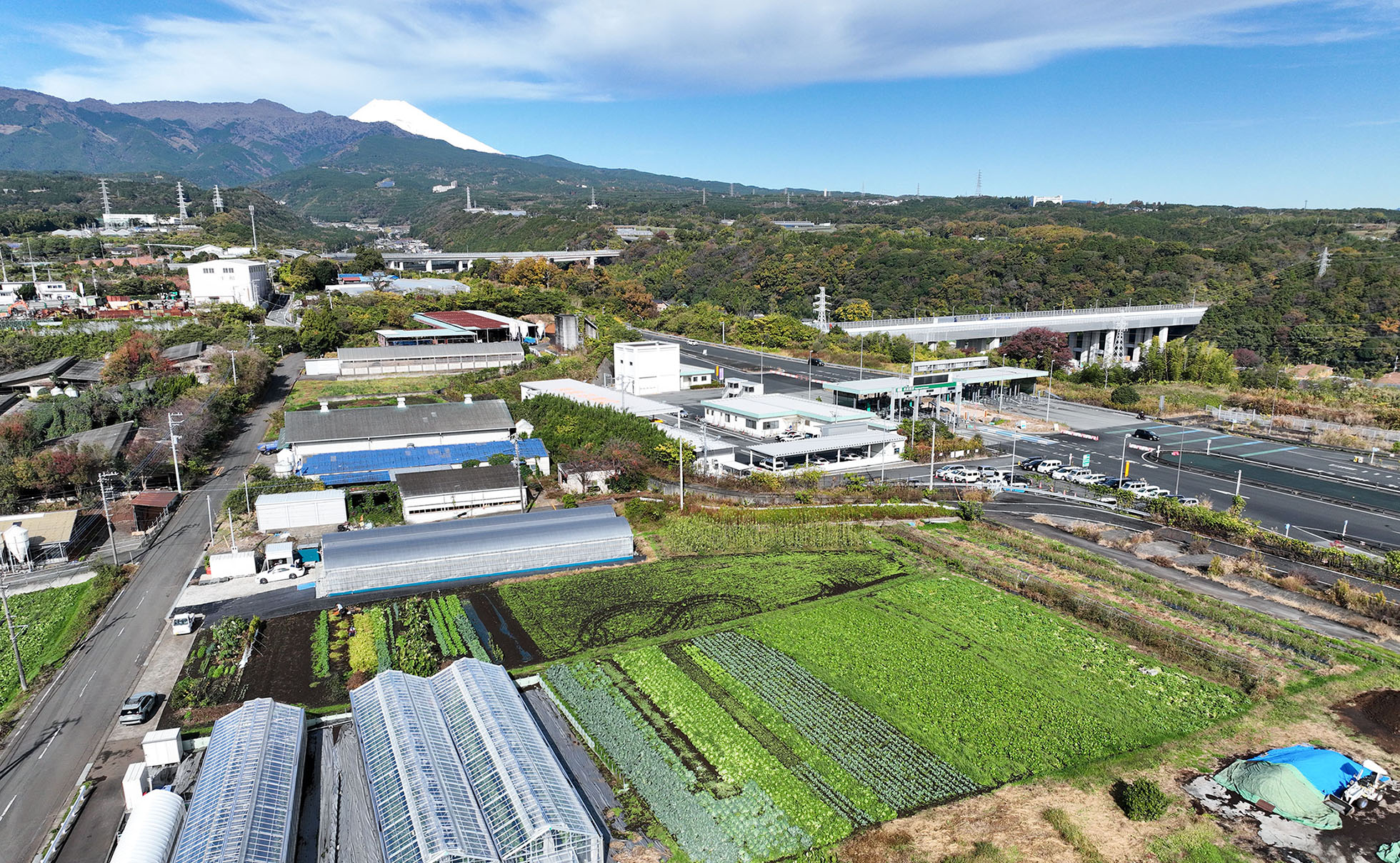 大静ファーム株式会社